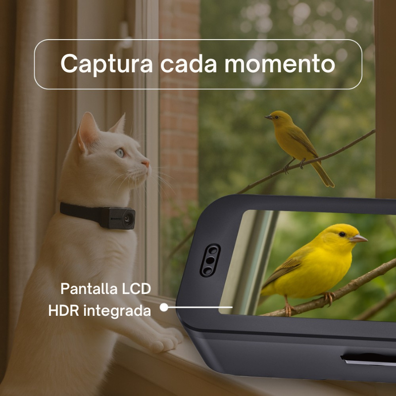 PetPOV cámara HD para gatos y perros aplicación móvil