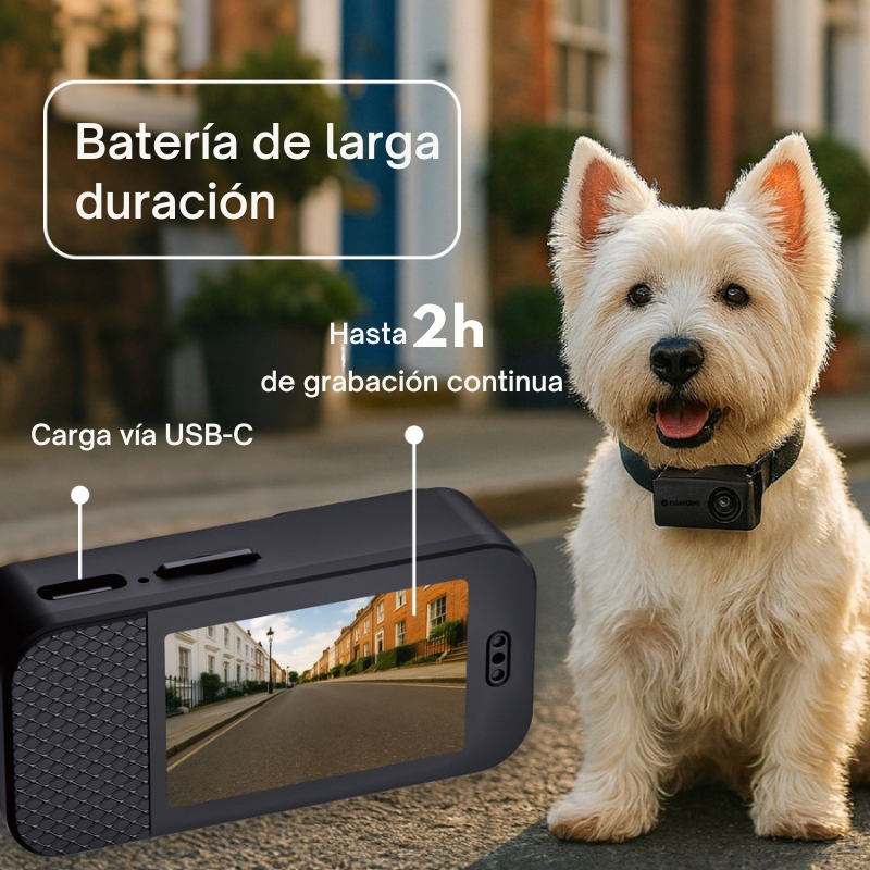 PetPOV HD Pet Camara Collar