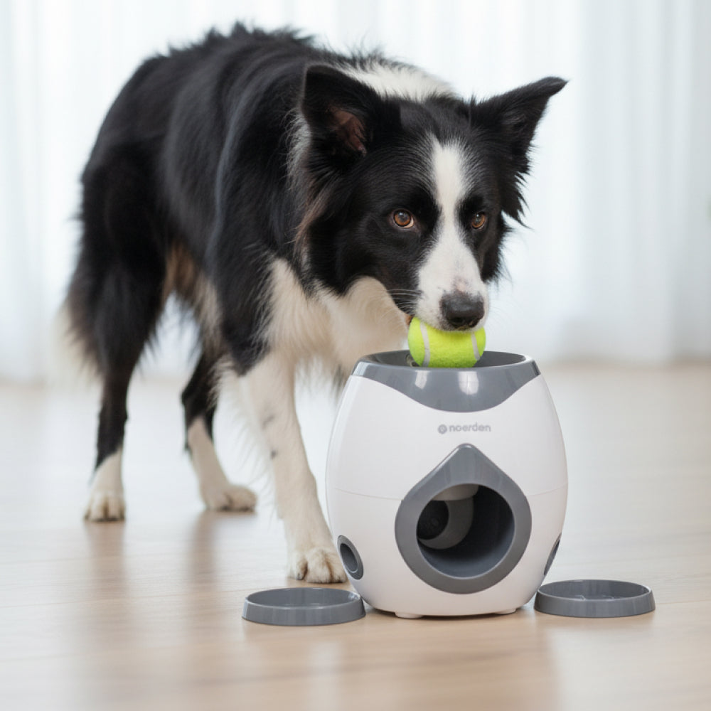 FETCHMATE: Juguete Interactivo y Dispensador de Premios
