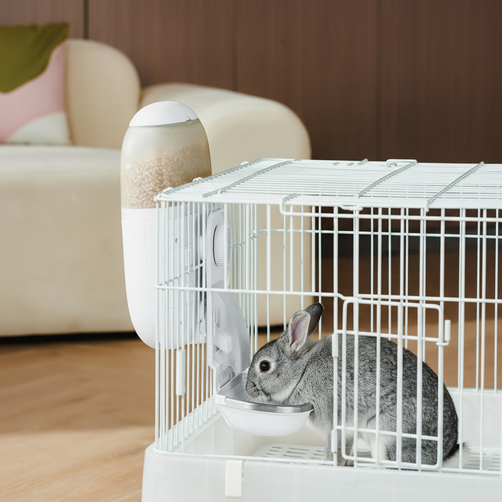 NOERDEN HOPPY | Alimentador Automático para Mascotas con Cámara HD WiFi y Audio Bidireccional