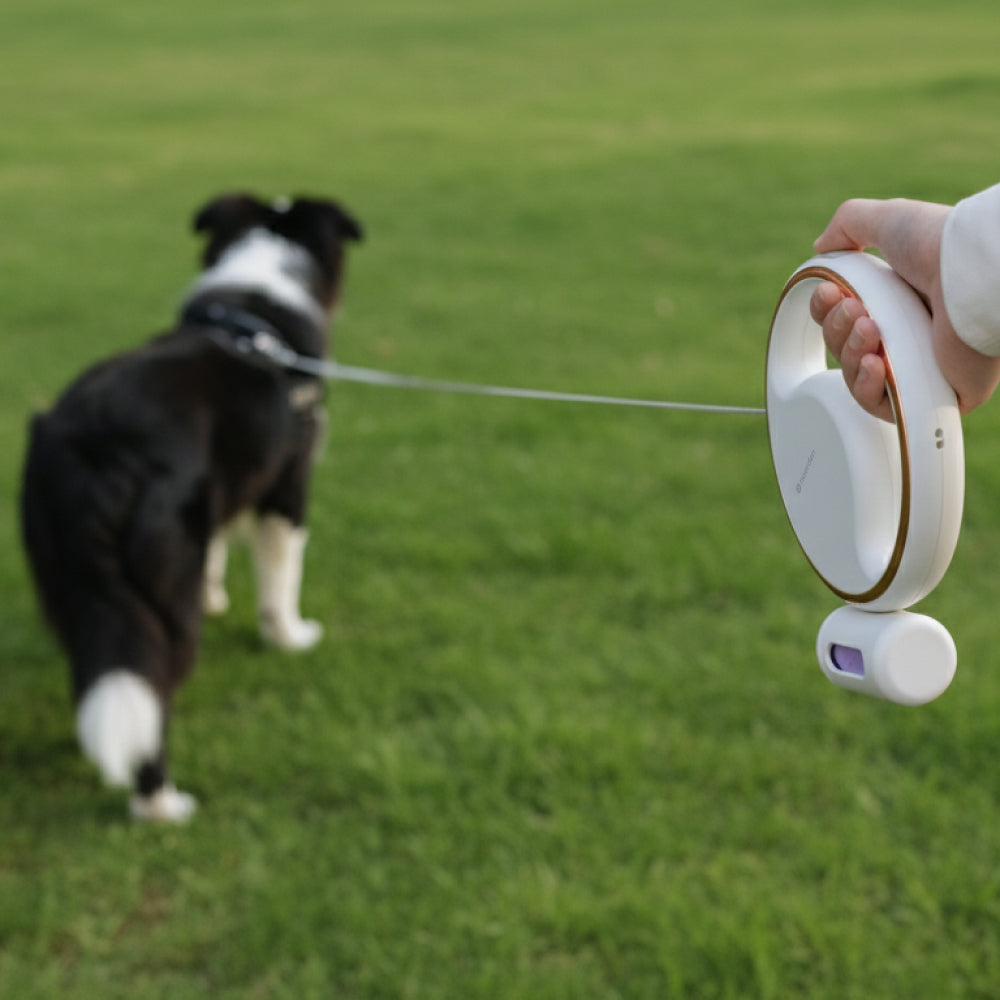 NOERDEN LUMI LEASH | Correa Retráctil 4 en 1 para Perros con Linterna LED Recargable USB-C