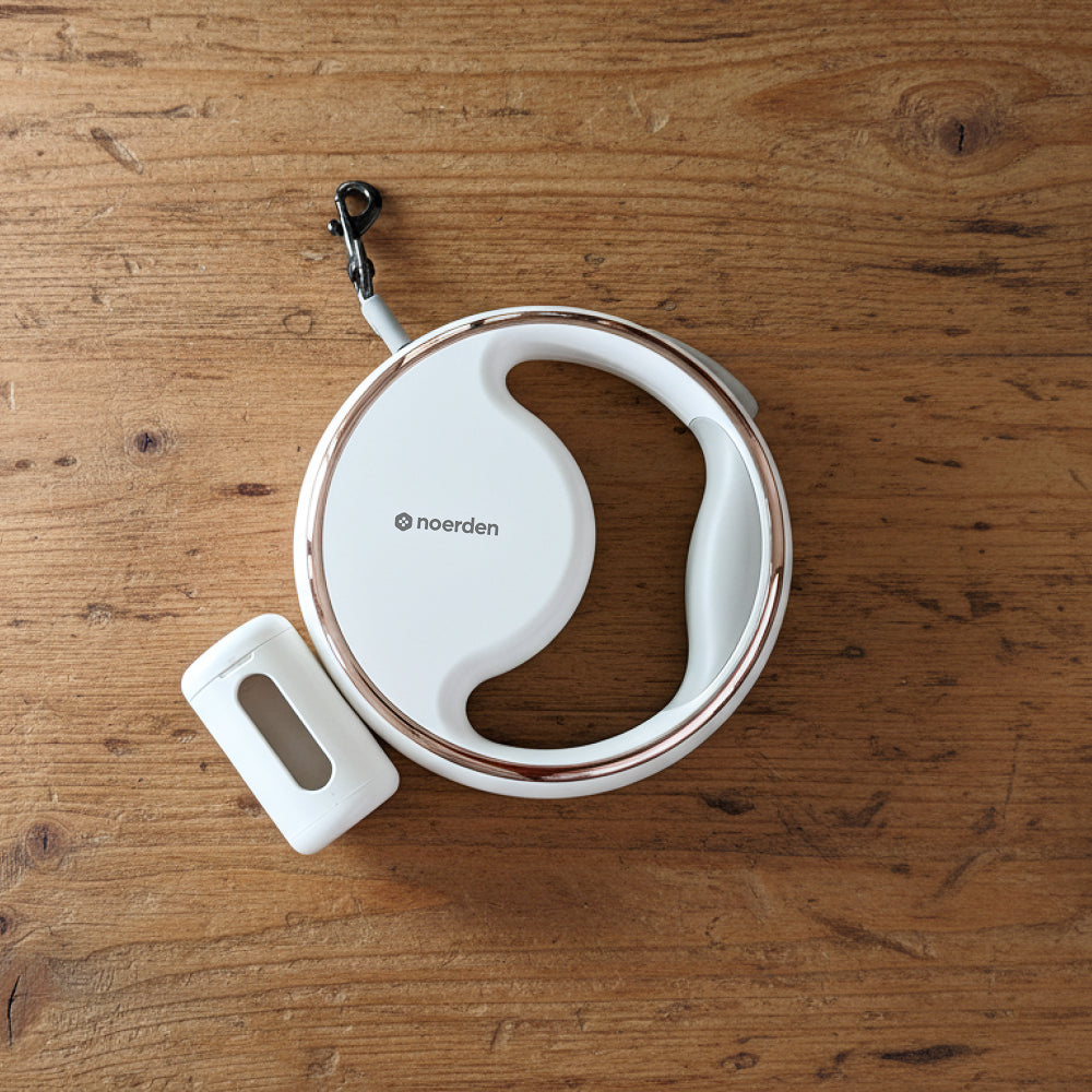 NOERDEN LUMI LEASH | Correa Retráctil 4 en 1 para Perros con Linterna LED Recargable USB-C