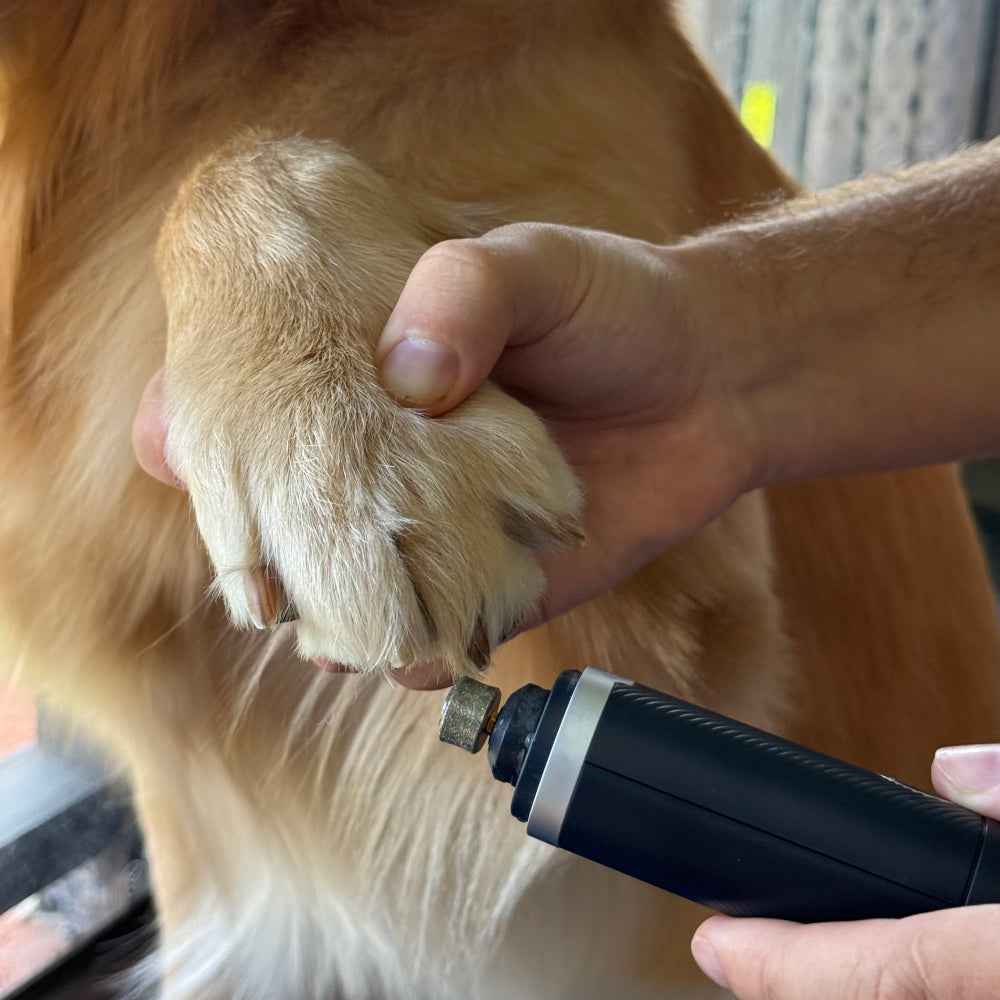 NOERDEN PAWMANI | Lima Eléctrica Silenciosa para Uñas de Mascotas - LED Dual 3 Velocidades