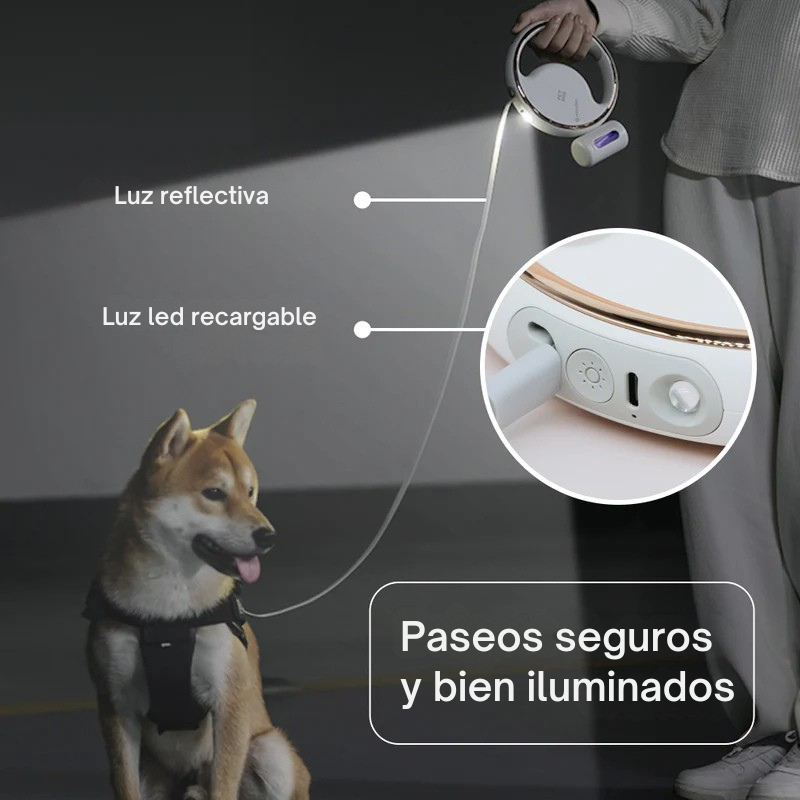 Lumi 4-in-1 Leash with LED torch & bag