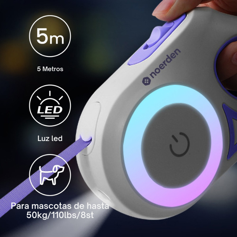 Correa Flexi LED perros 3 niveles control táctil