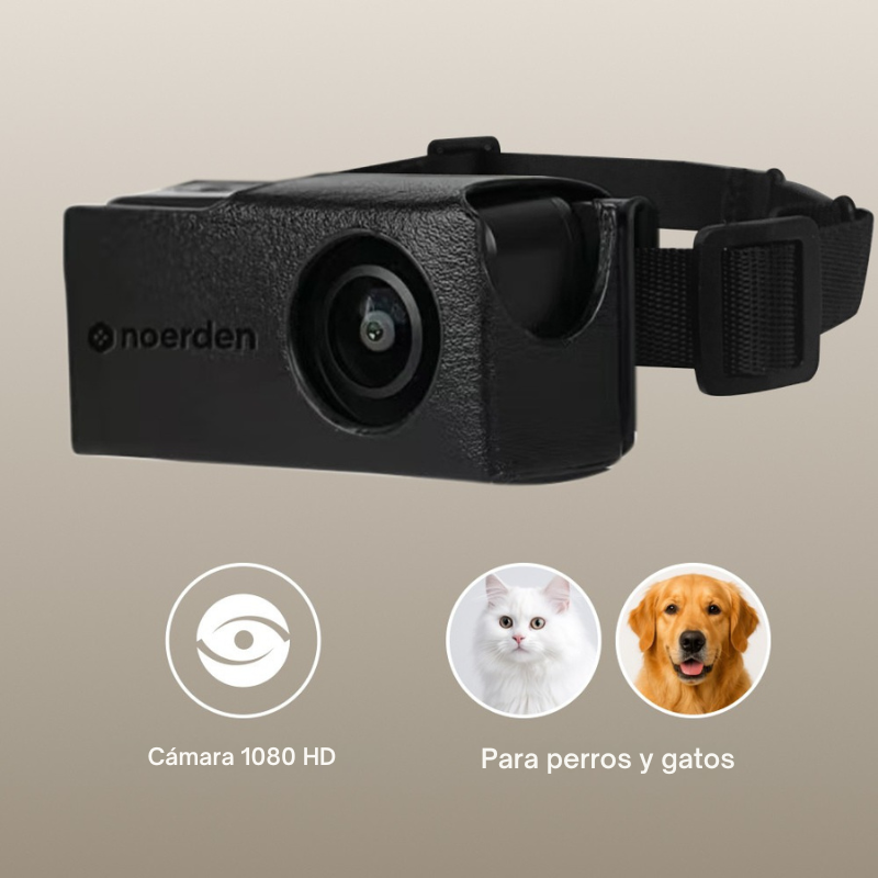 PetPOV collar cámara mascotas detalle y accesorios