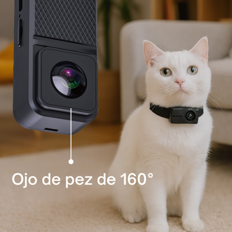 PetPOV collar inteligente mascotas en uso