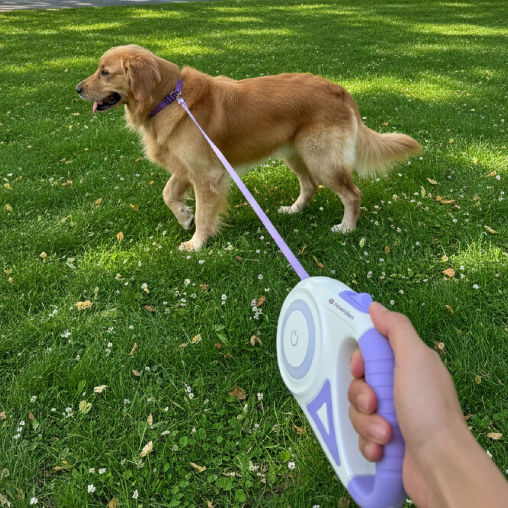 NOERDEN Correa Retráctil para Perros 5m con LED Recargable | Luz Frontal y Reflectante
