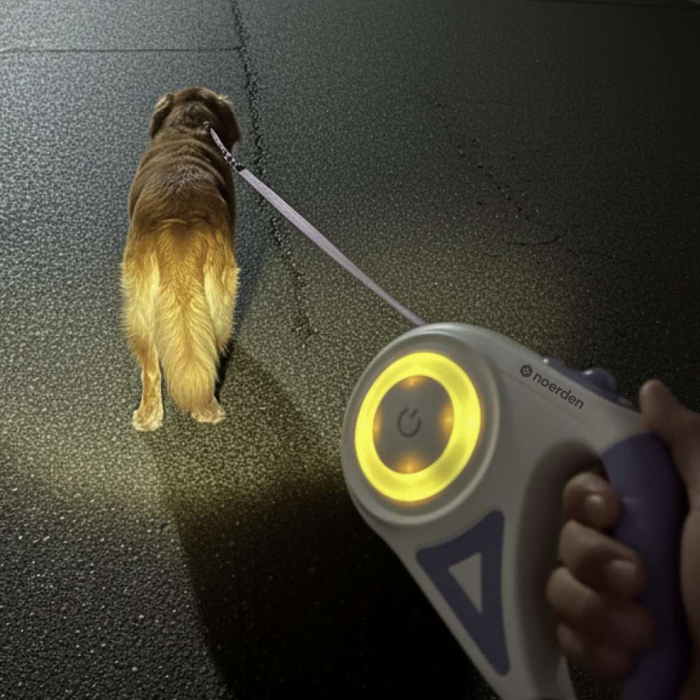NOERDEN Correa Retráctil para Perros 5m con LED Recargable | Luz Frontal y Reflectante