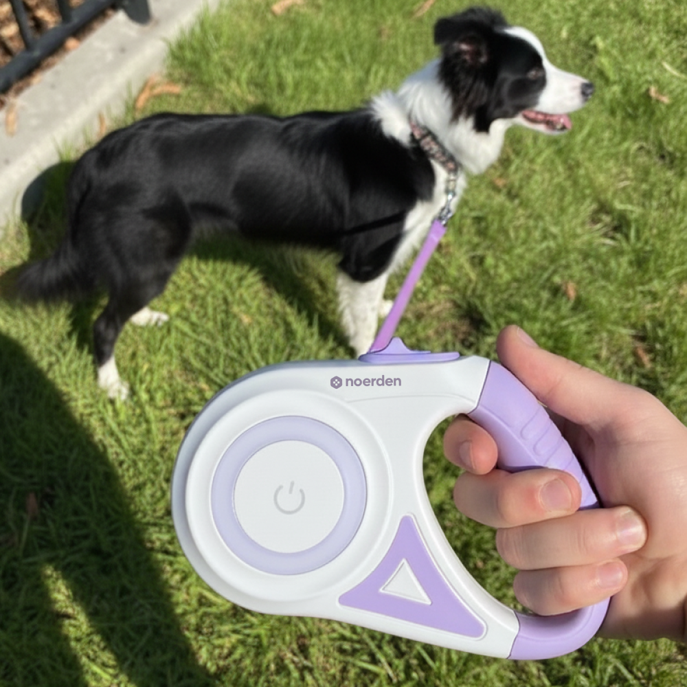 NOERDEN Correa Retráctil para Perros 5m con LED Recargable | Luz Frontal y Reflectante