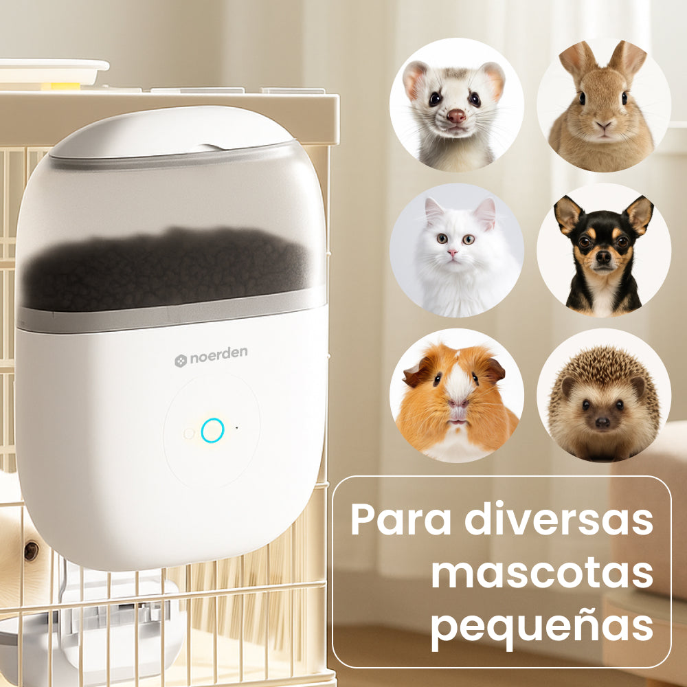 NOERDEN HOPPY | Alimentador Automático para Mascotas con Cámara HD WiFi y Audio Bidireccional