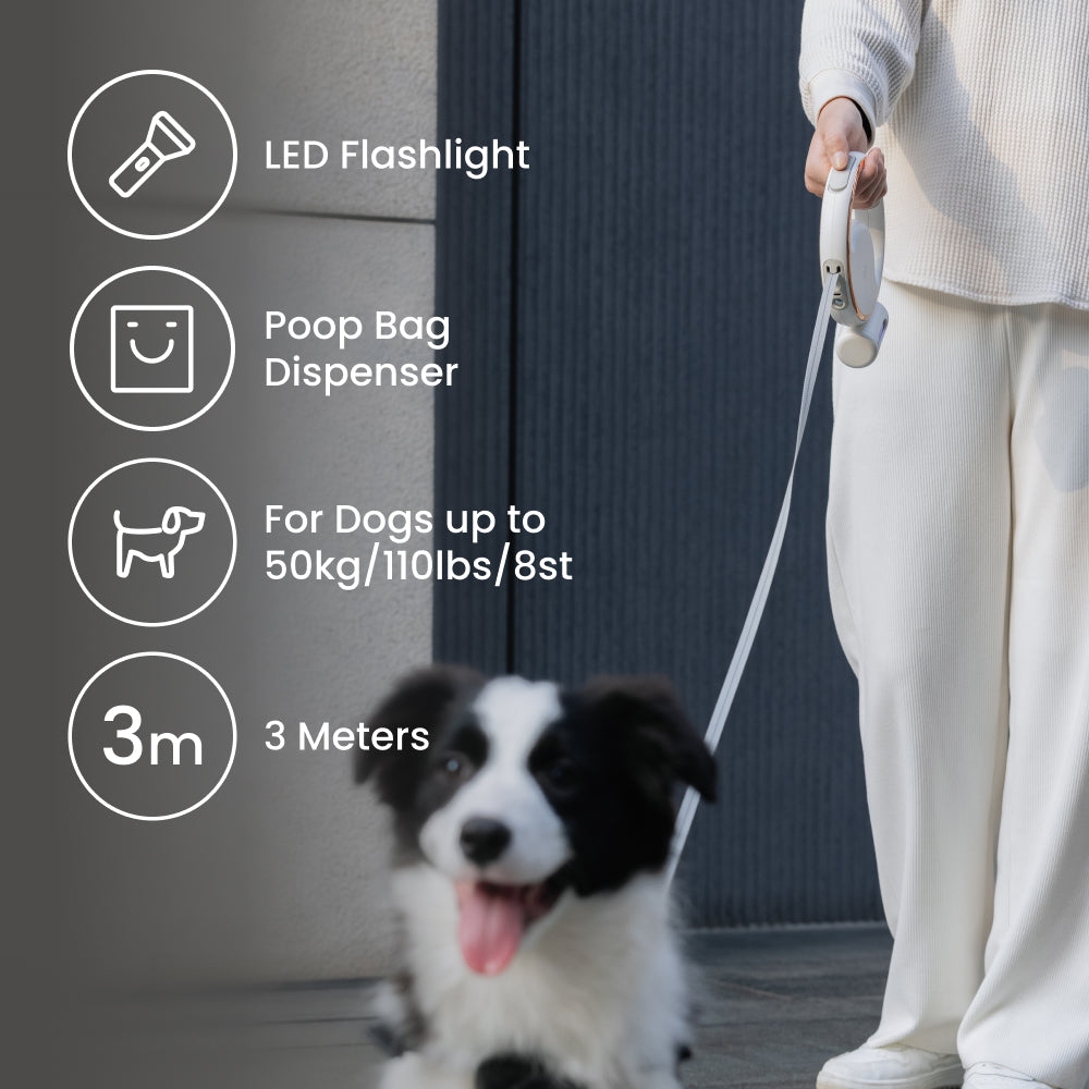 LUMI LEASH smart device front view