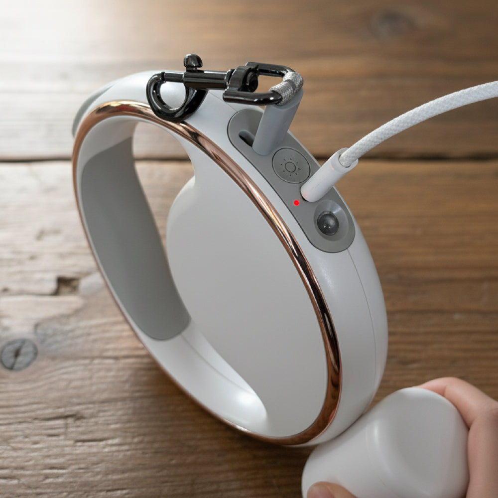 NOERDEN LUMI LEASH | Correa Retráctil 4 en 1 para Perros con Linterna LED Recargable USB-C