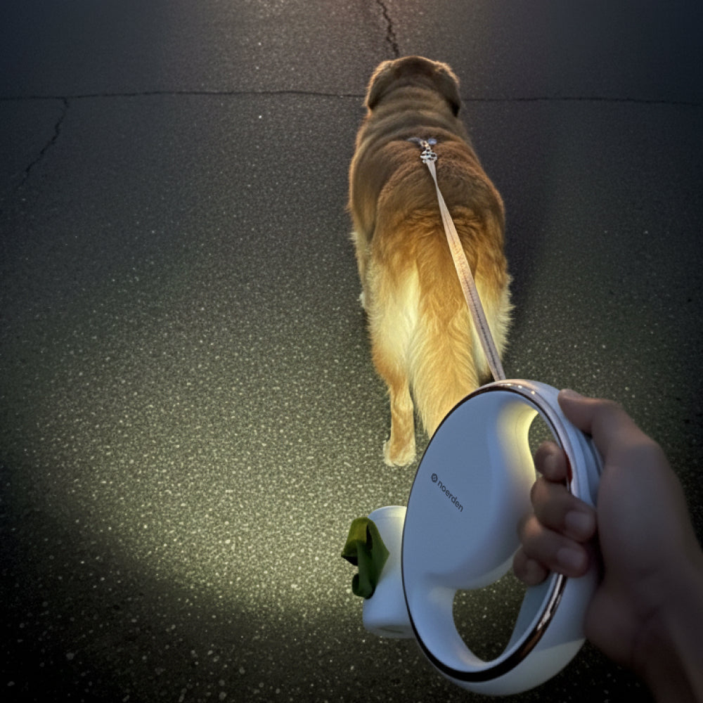 NOERDEN LUMI LEASH | Correa Retráctil 4 en 1 para Perros con Linterna LED Recargable USB-C
