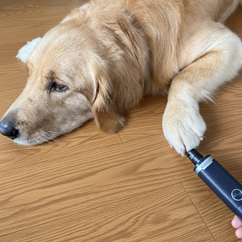 NOERDEN PAWMANI | Lima Eléctrica Silenciosa para Uñas de Mascotas - LED Dual 3 Velocidades