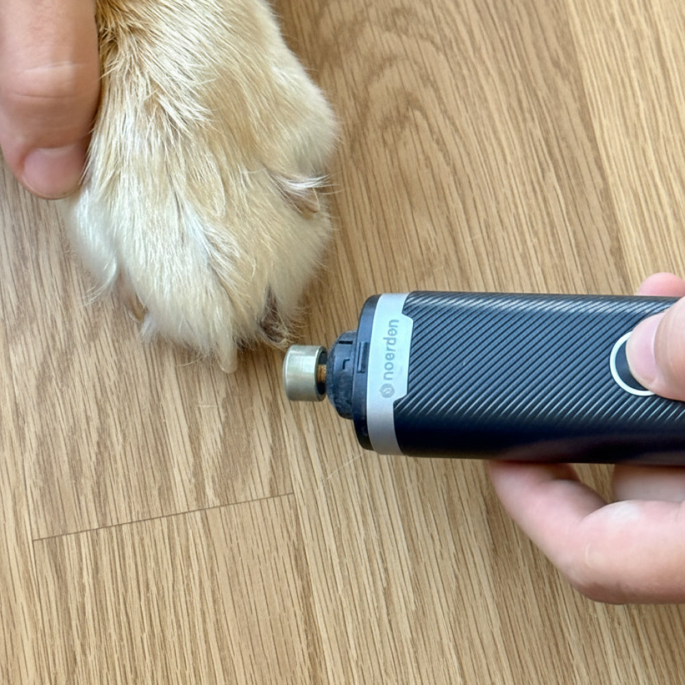 NOERDEN PAWMANI | Lima Eléctrica Silenciosa para Uñas de Mascotas - LED Dual 3 Velocidades