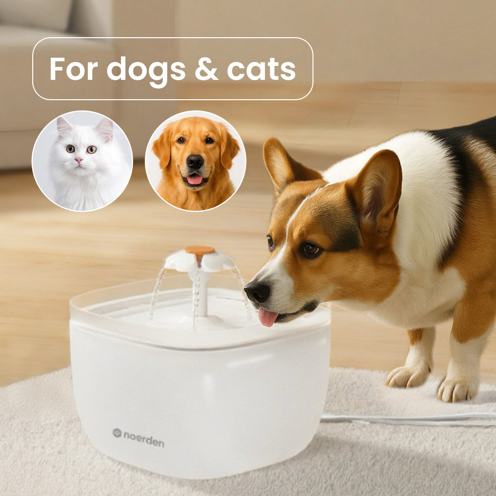 PAWQUENCH smart device front view