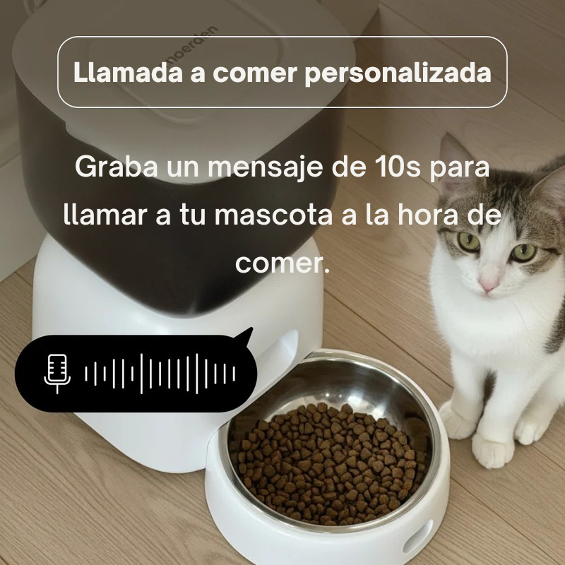 PETPLATE comedero WiFi mascotas detalle pantalla digital programación