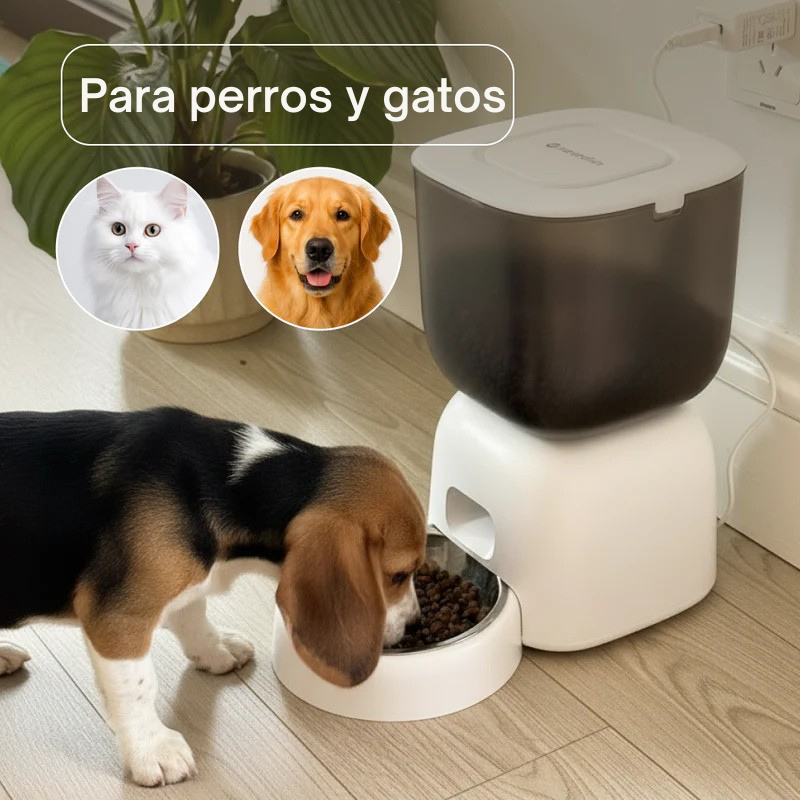 PETPLATE comedero inteligente gatos y perros app móvil
